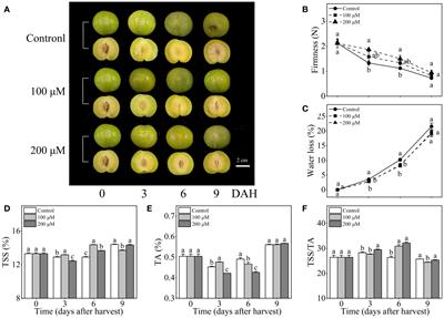 Effect of exogenous melatonin on antioxidant properties and fruit softening of ‘Fengtang’ plum fruit (Prunus salicina Lindl.) during storage at room temperature